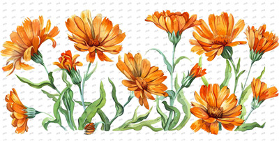 Flower-Y10352