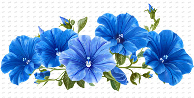Flower-Y10354