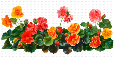 Flower-Y10357