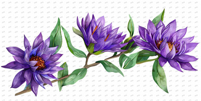 Flower-Y10366