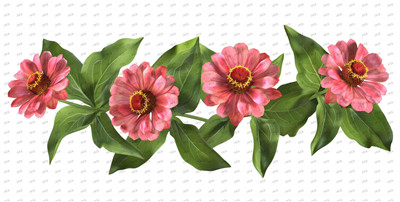 Flower-Y10370