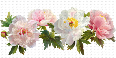 Flower-Y10392