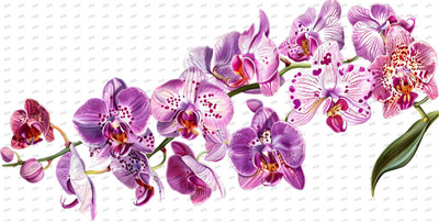 Flower-Y10402