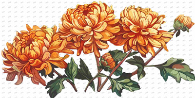 Flower-Y10406