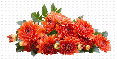 Flower-Y10409