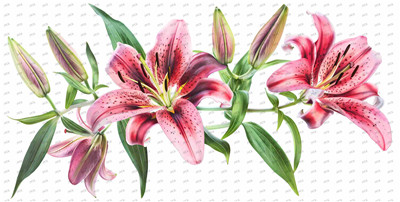Flower-Y10412