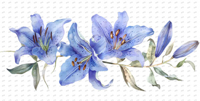 Flower-Y10414