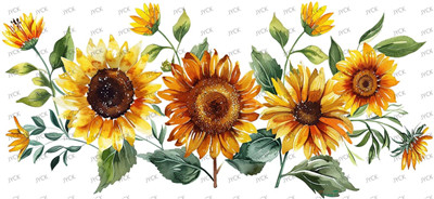 Flower-Y26695