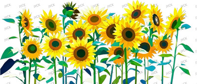 Flower-Y29211