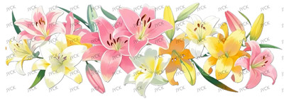 Flower-Y29223