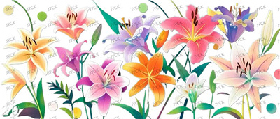 Flower-Y29225