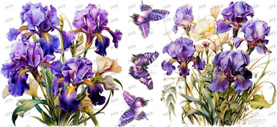Flower-Y49245