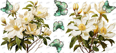 Flower-Y49247