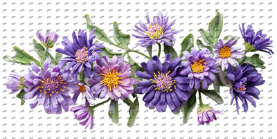 Flower-Y8415
