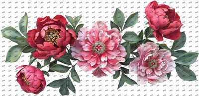 Flower-Y8461