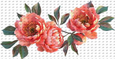 Flower-Y8466