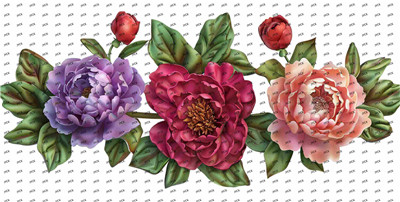 Flower-Y8485