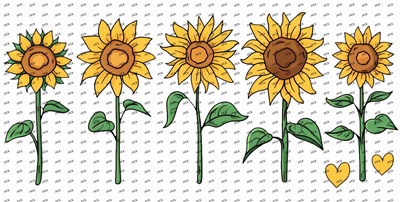 Flower-Y8713