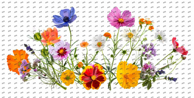Flower-Y8749