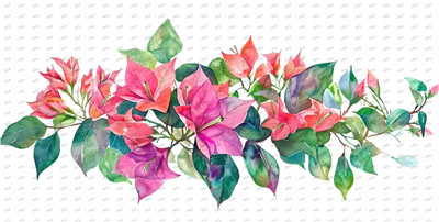 Flower-Y9223