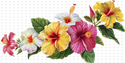 Flower-Y9370