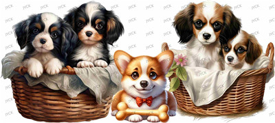 Other animal-Y1055