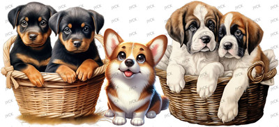 Other animal-Y1056
