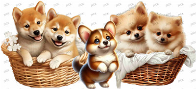 Other animal-Y1057