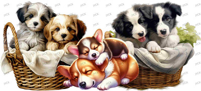 Other animal-Y1059