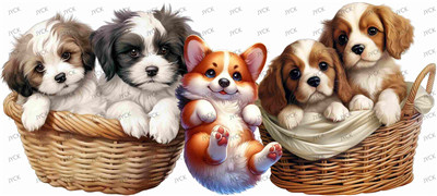 Other animal-Y1061