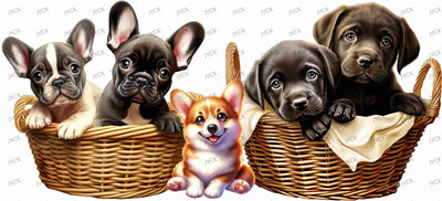Other animal-Y1064
