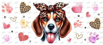 Other animal-Y11067