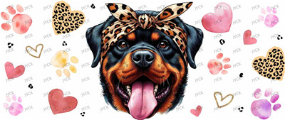 Other animal-Y11088