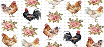 Other animal-Y11403