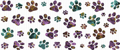 Other animal-Y12081