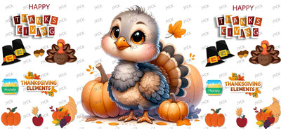 Other animal-Y17276