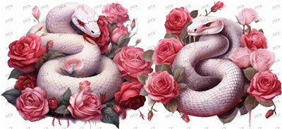 Other animal-Y23466