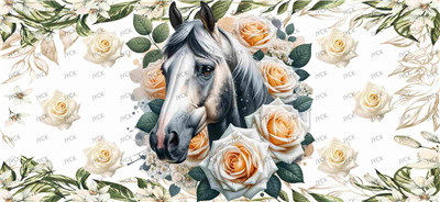 Other animal-Y27925