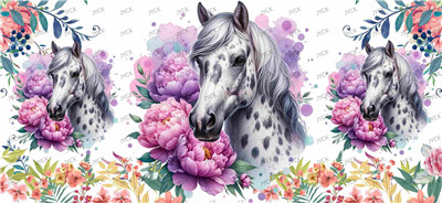 Other animal-Y27932