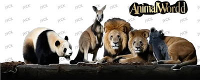 Other animal-Y29137