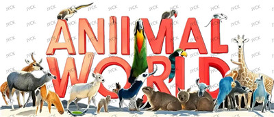 Other animal-Y29157