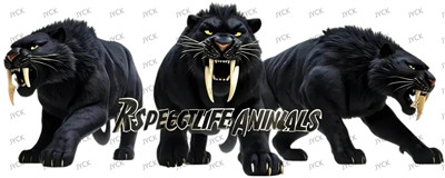 Other animal-Y29180