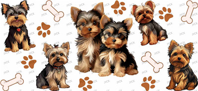 Other animal-Y29501