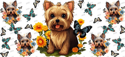 Other animal-Y29505