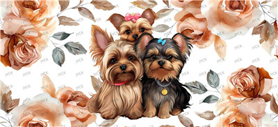 Other animal-Y29509