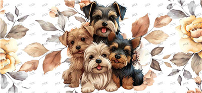 Other animal-Y29510
