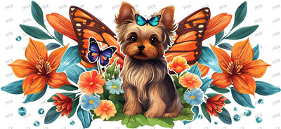 Other animal-Y29511