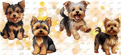Other animal-Y29512