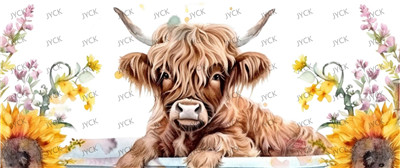 Other animal-Y29693