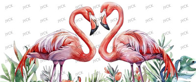 Other animal-Y29701